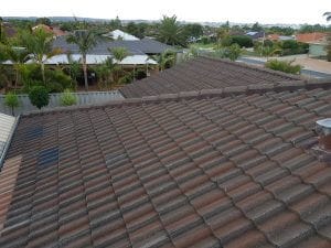 Roof Maintenance